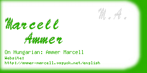 marcell ammer business card